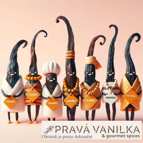 Vanilka z Ugandy premium na váhu