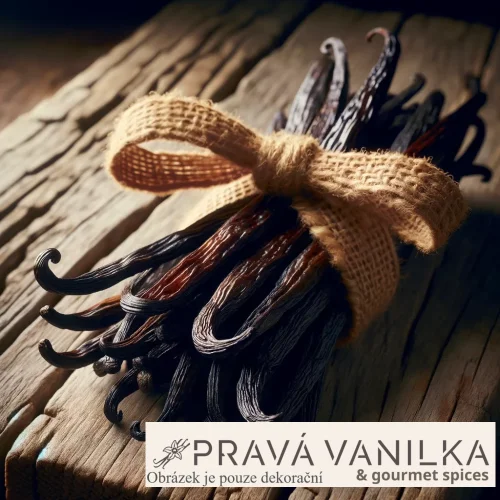 Vanilka Tahitesis krátká