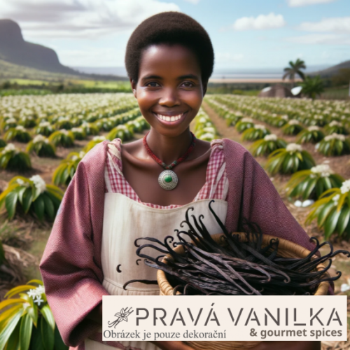 Vanilka z Madagaskaru premium
